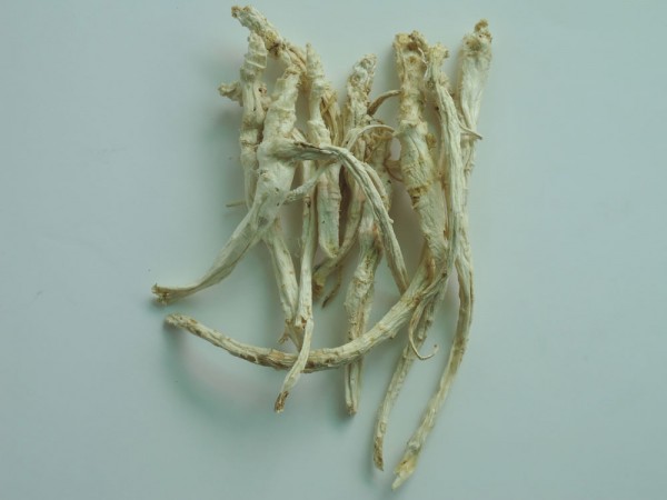 산도라지(야생건,생길경)